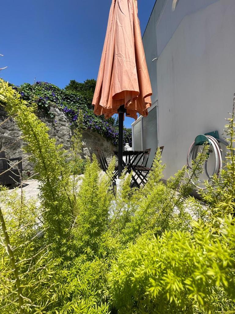 Burgaes II Apartment OOporto Exteriör bild